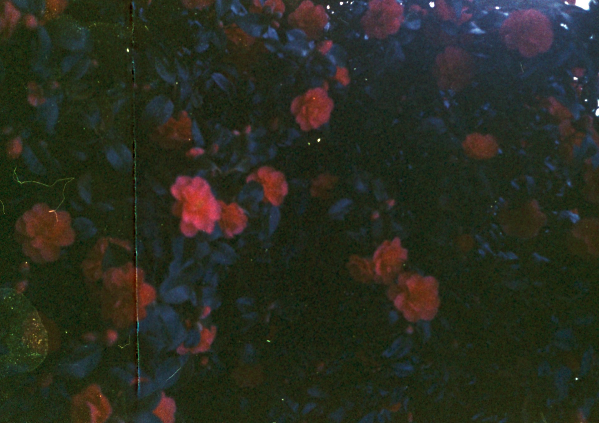 5 Questions- Second Synthesis